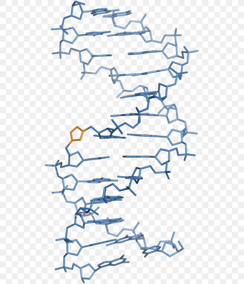 Peptide Nucleic Acid Locked Nucleic Acid DNA Backbone Chain, PNG, 521x956px, Peptide Nucleic Acid, Acid, Area, Backbone Chain, Black And White Download Free