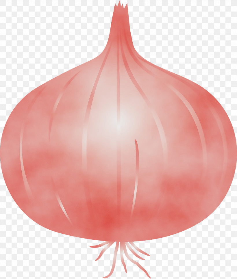Red Balloon, PNG, 2545x2999px, Onion, Balloon, Paint, Red, Watercolor Download Free