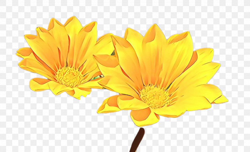 Artificial Flower, PNG, 2560x1563px, Flower, Artificial Flower, Barberton Daisy, Calendula, Cut Flowers Download Free