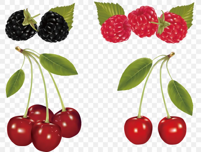 Cherry Fruit Clip Art, PNG, 2419x1829px, Cherry, Auglis, Berry, Food, Free Content Download Free