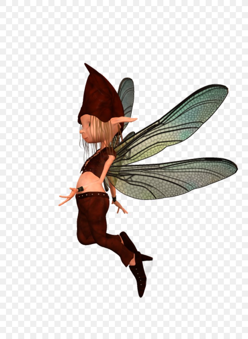 Fairy, PNG, 800x1120px, Fairy, Fictional Character, Membrane Winged Insect, Mythical Creature, Wing Download Free