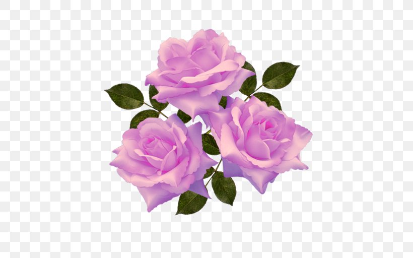 Garden Roses Cabbage Rose Floribunda Cut Flowers, PNG, 512x512px, Garden Roses, Artificial Flower, Cabbage Rose, Cut Flowers, Floribunda Download Free