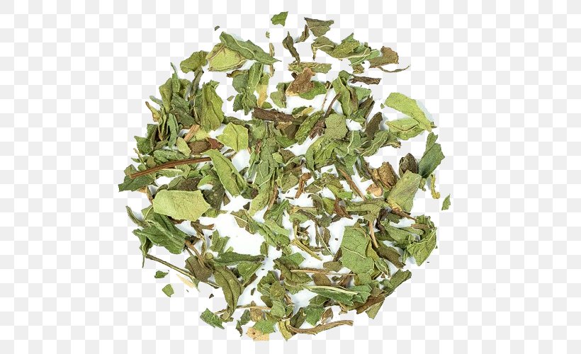 Green Tea Tieguanyin Ingredient Mentha Spicata, PNG, 600x500px, Tea, Active Ingredient, Antioxidant, Food, Green Tea Download Free