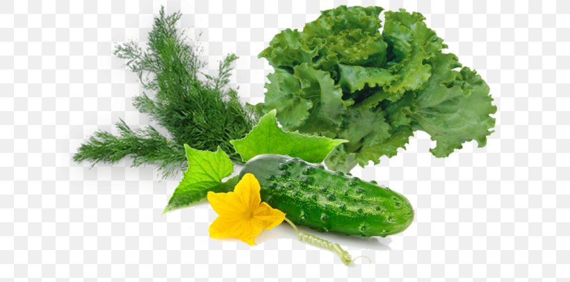Kale Garden Cress Lettuce Rapini Salad, PNG, 700x406px, Kale, Diet, Diet Food, Food, Garden Cress Download Free