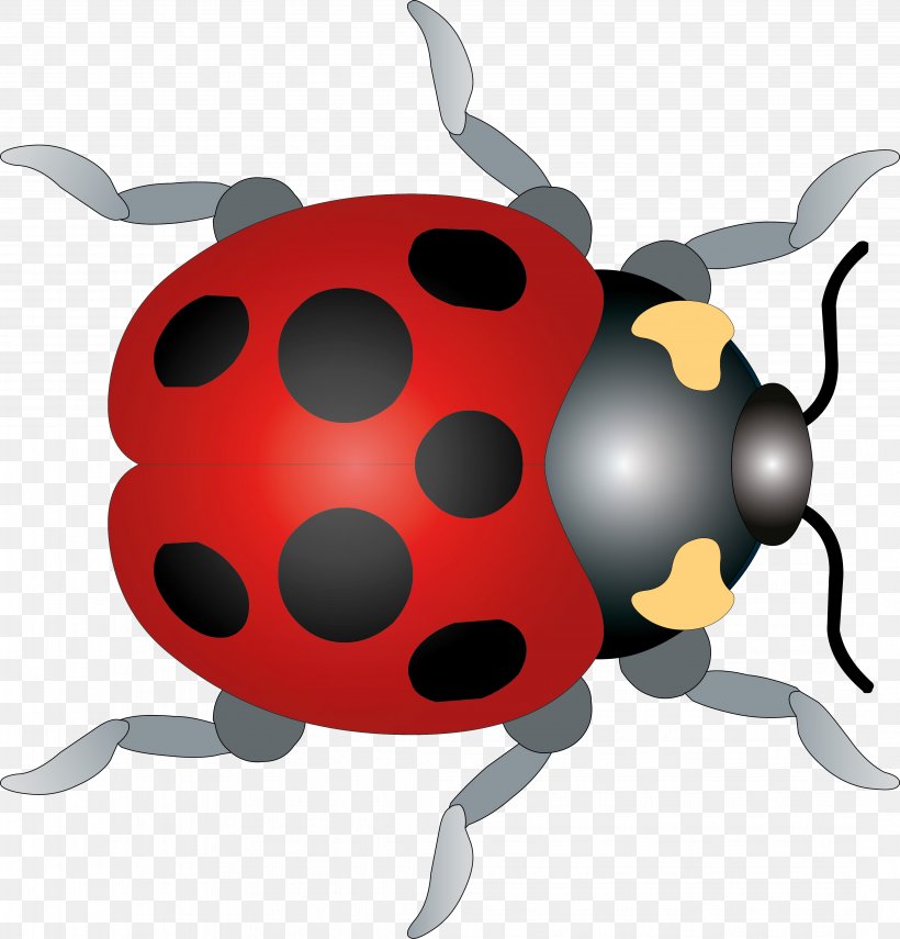 Ladybird Beetle Clip Art, PNG, 4288x4472px, Ladybird, Animal, Beetle, Cartoon, Coccinella Septempunctata Download Free