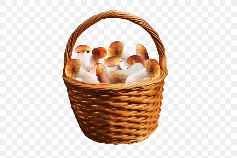 Mushroom Basket Fungus Clip Art, PNG, 480x546px, Mushroom, Basket, Boletus Edulis, Food, Food Gift Baskets Download Free