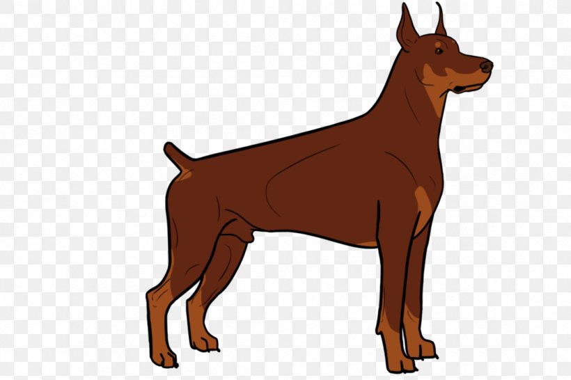 Dobermann German Pinscher Miniature Pinscher Manchester Terrier Ancient Dog Breeds, PNG, 1095x730px, Dobermann, Ancient Dog Breeds, Breed, Carnivoran, Dog Download Free