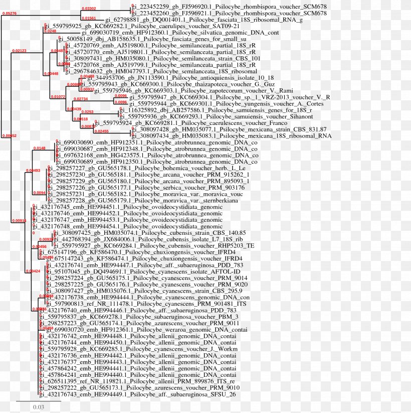 Document Line Angle, PNG, 2048x2056px, Document, Area, Diagram, Paper, Text Download Free