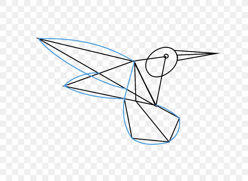 Hummingbird Drawing Line Art How-to Clip Art, PNG, 678x600px, Hummingbird, Area, Artwork, Bird, Black And White Download Free