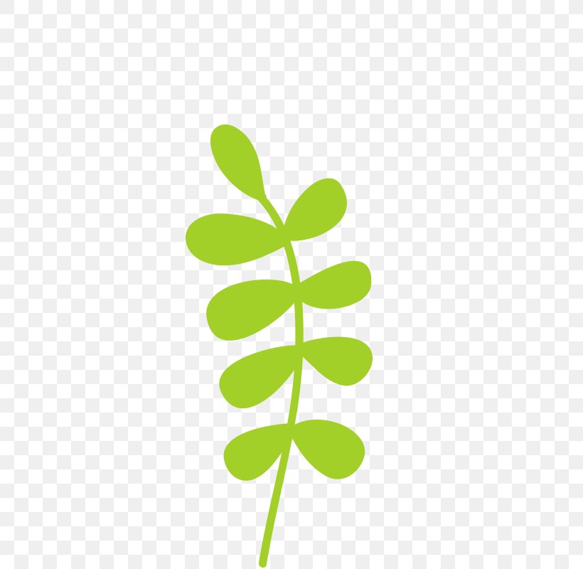 Leaf Green, PNG, 800x800px, Leaf, Cartoon, Drawing, Flowering Plant, Gratis Download Free