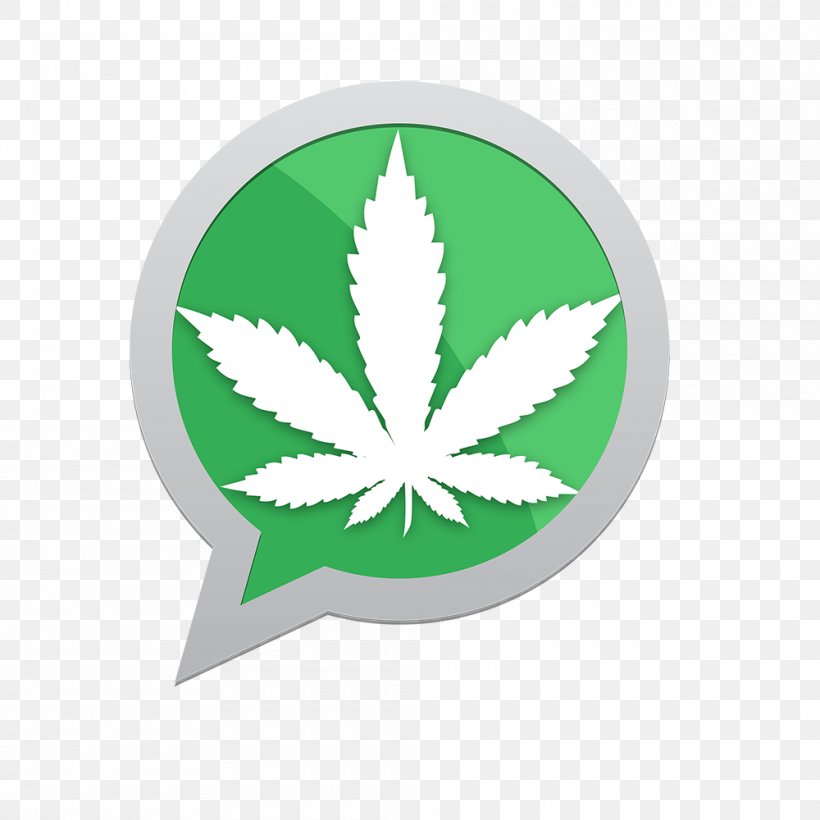 Medical Cannabis Hemp, PNG, 1000x1000px, Cannabis, Autoflowering Cannabis, Cannabis Shop, Dispensary, Green Download Free