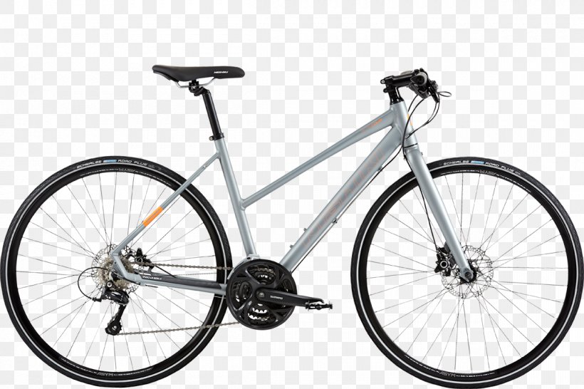 Raleigh Bicycle Company Marin County, California Marin Bikes Bicycle Shop, PNG, 1200x800px, Bicycle, Bicycle Accessory, Bicycle Drivetrain Part, Bicycle Fork, Bicycle Frame Download Free