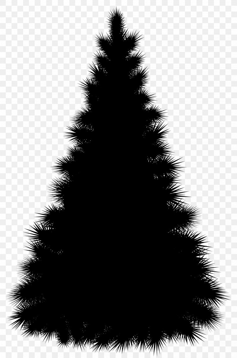Spruce Christmas Tree Fir Christmas Day, PNG, 3371x5098px, Spruce, American Larch, Black, Blackandwhite, Branch Download Free
