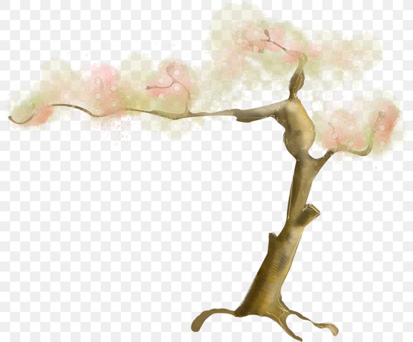 Tree Clip Art, PNG, 800x680px, Tree, Aloe Dichotoma, Blossom, Branch, Flower Download Free