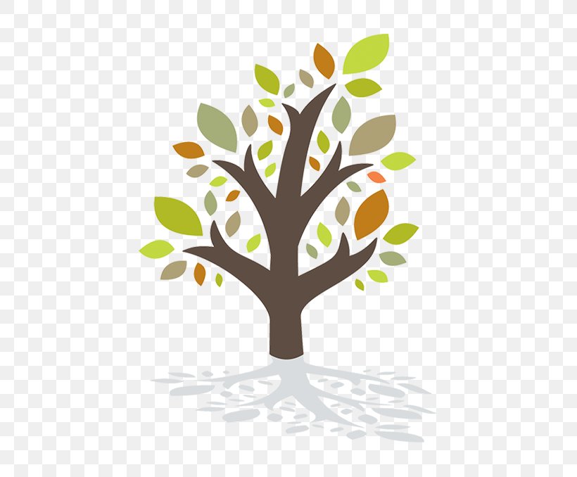 Twig Nassau County Council On Aging The Decision Tree Of Aging Old Age Clip Art, PNG, 427x678px, Twig, Ageing, Branch, Flora, Floral Design Download Free