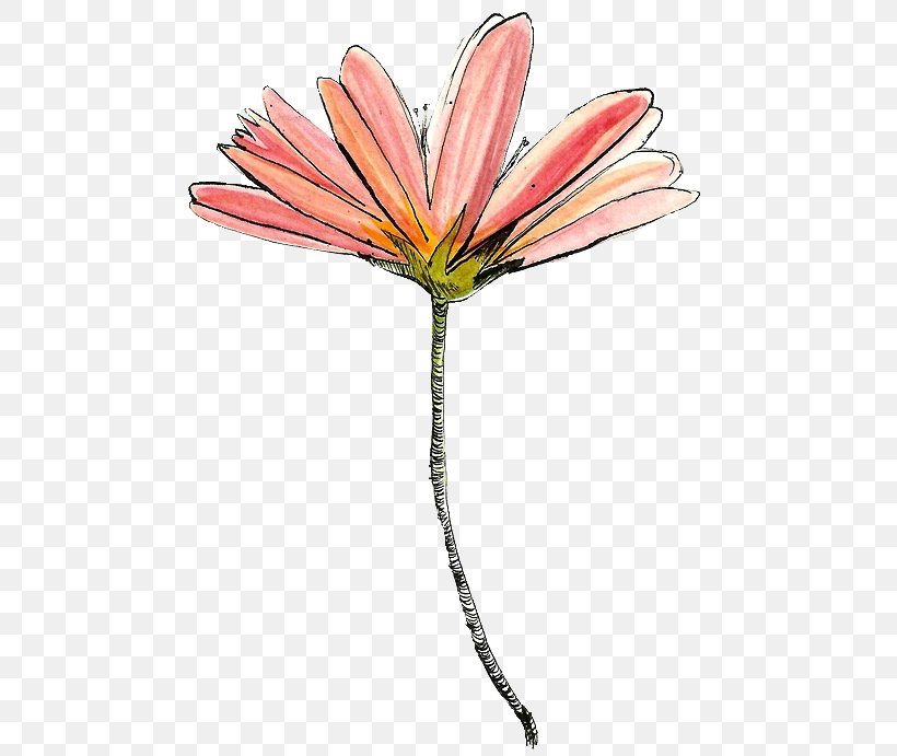 Drawing Flower YouTube Art, PNG, 500x691px, Watercolor, Cartoon, Flower, Frame, Heart Download Free