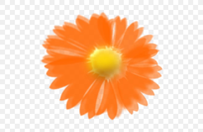 Flower Clip Art, PNG, 600x533px, Flower, Calendula, Daisy Family, Drawing, Flowering Plant Download Free