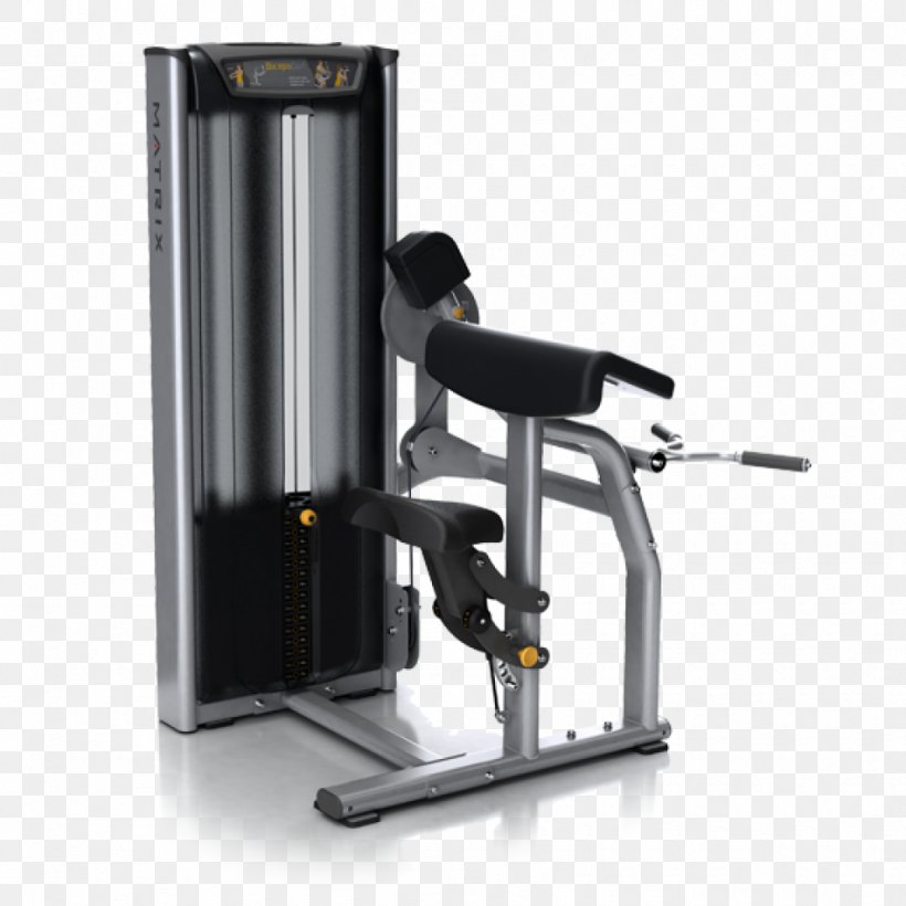 Biceps Curl Exercise Machine Fitness Centre, PNG, 950x950px, Biceps Curl, Arm, Biceps, Exercise, Exercise Equipment Download Free