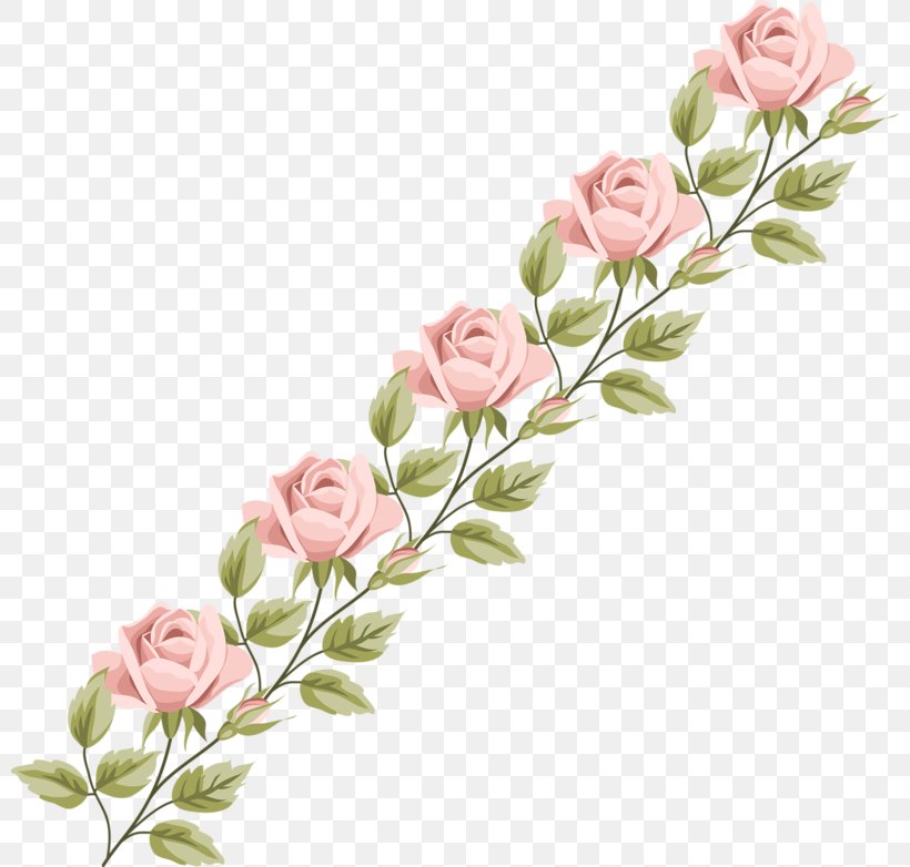 Garden Roses Cabbage Rose Floral Design Cut Flowers, PNG, 800x782px, Garden Roses, Artificial Flower, Botany, Branch, Bud Download Free