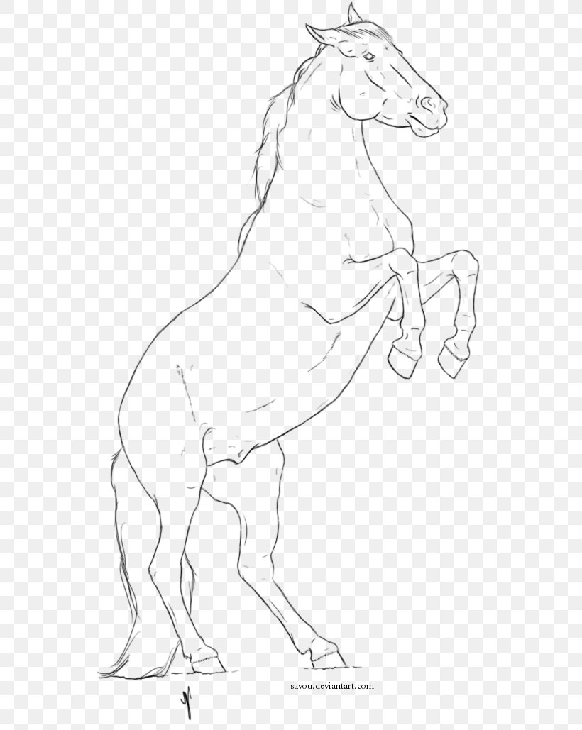 Mule Mane Mustang Halter Sketch, PNG, 564x1029px, Mule, Animal Figure, Arm, Art, Artwork Download Free