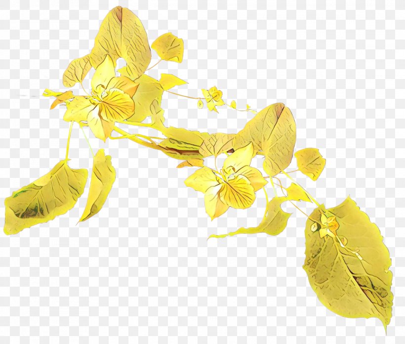 Yellow Flower Plant Petal Flowering Plant, PNG, 2281x1938px, Cartoon, Flower, Flowering Plant, Forsythia, Petal Download Free