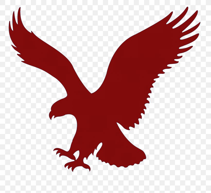 American Eagle Outfitters Clothing Accessories Retail Logo, PNG, 768x749px, American Eagle Outfitters, Aerie, Aeropostale, Artwork, Beak Download Free