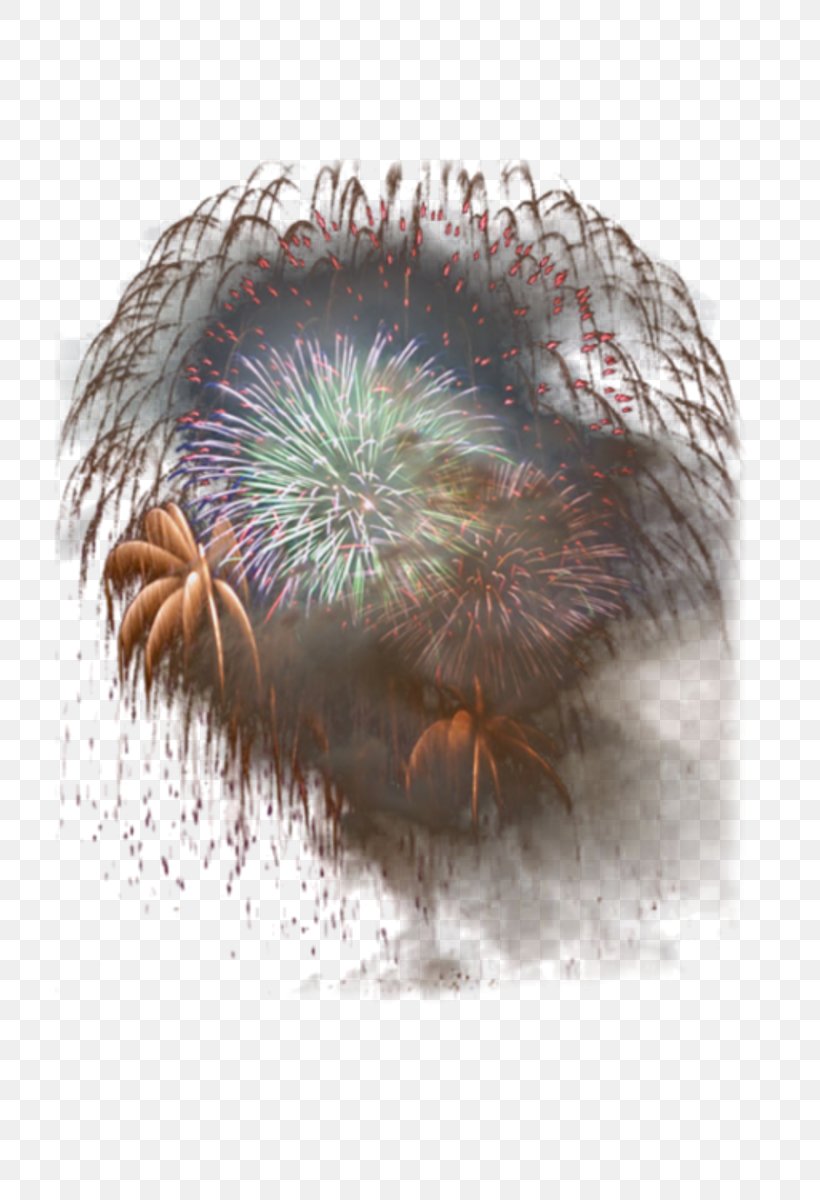 Fireworks Centerblog Alcoholism, PNG, 800x1200px, Watercolor, Cartoon, Flower, Frame, Heart Download Free
