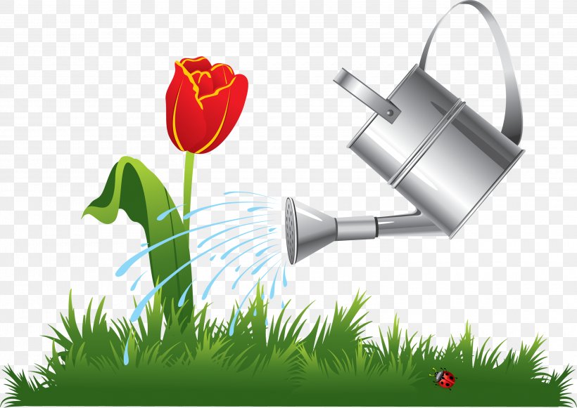 Graphic Designer Logo, PNG, 3000x2126px, Graphic Designer, Drawing, Energy, Flora, Flower Download Free