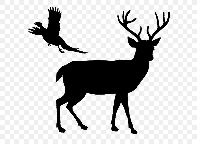 White-tailed Deer Reindeer Elk, PNG, 600x600px, Deer, Antler, Black And White, Elk, Fauna Download Free