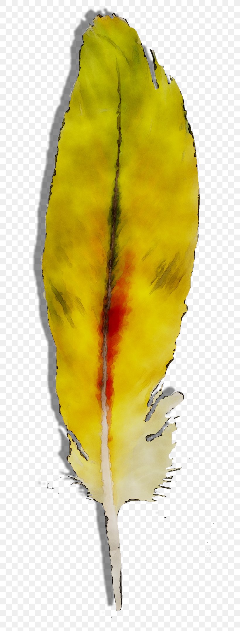 Yellow Leaf, PNG, 642x2152px, Yellow, Leaf, Longboard Download Free