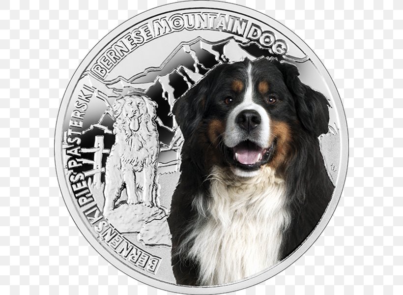 Bernese Mountain Dog Dog Breed Greater Swiss Mountain Dog Coin, PNG, 600x600px, Bernese Mountain Dog, Breed, Breed Group Dog, Carnivoran, Coin Download Free
