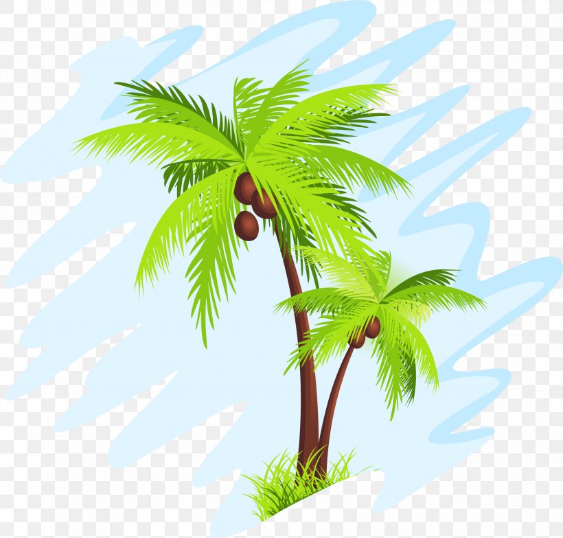 Coconut Arecaceae Tree Clip Art, PNG, 2470x2359px, Phoenix Canariensis, Arecaceae, Arecales, Branch, Coconut Download Free