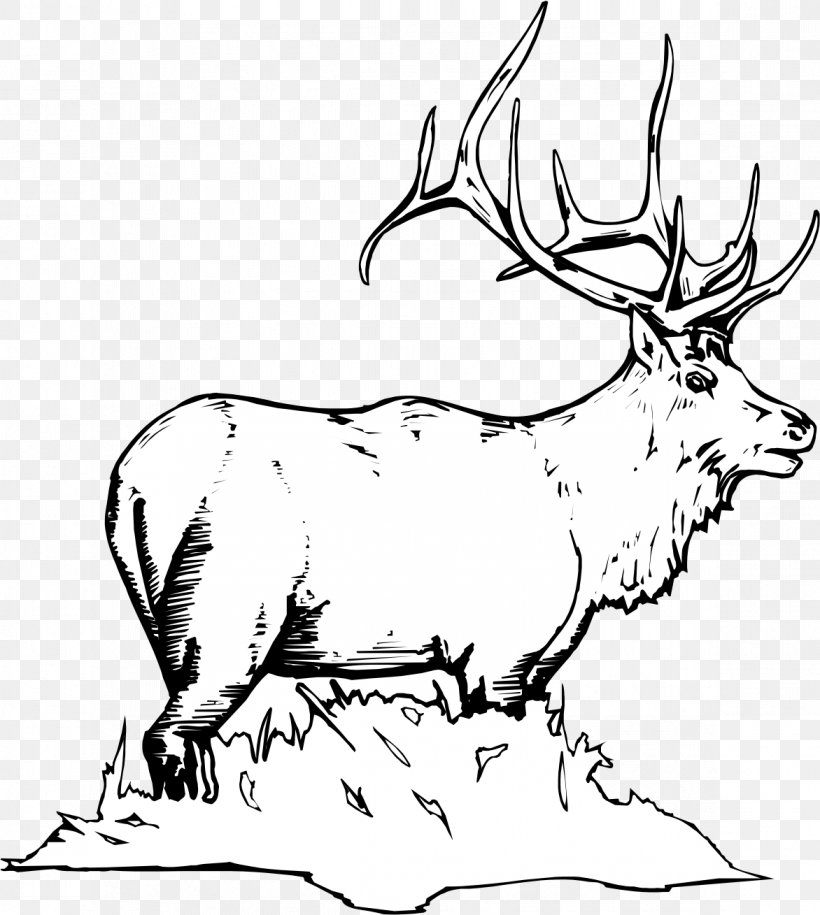 Elk White-tailed Deer Moose Coloring Book, PNG, 1172x1309px, Elk, Adult, Animal, Antler, Artwork Download Free