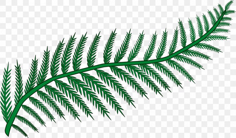 Fern Frond Leaf Clip Art, PNG, 2400x1400px, Fern, Cdr, Ferns And Horsetails, Fiddlehead Fern, Frond Download Free
