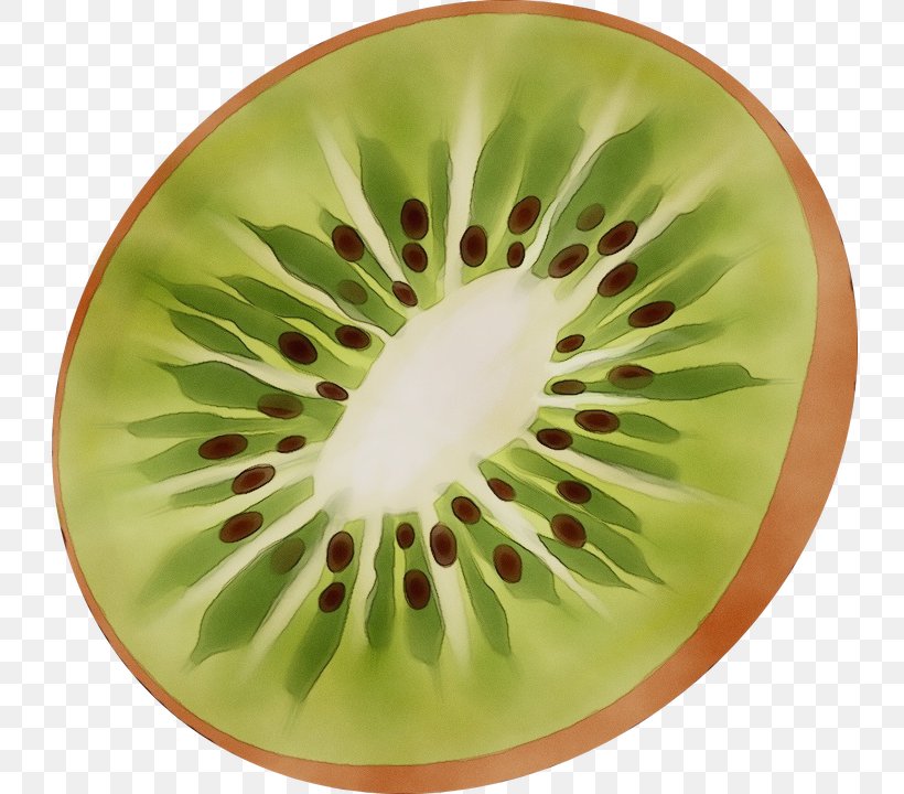 Kiwi, PNG, 736x720px, Watercolor, Dishware, Flower, Fruit, Green Download Free