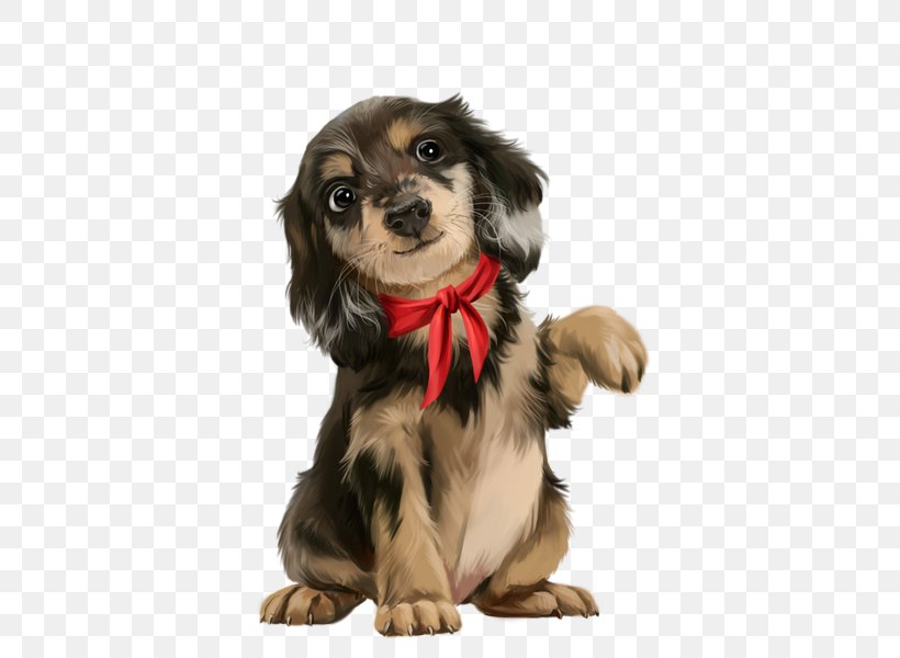 Puppy Dog Breed Bichon Frise Biewer Terrier Companion Dog, PNG, 428x600px, Puppy, Animal, Bichon Frise, Biewer Terrier, Breed Group Dog Download Free