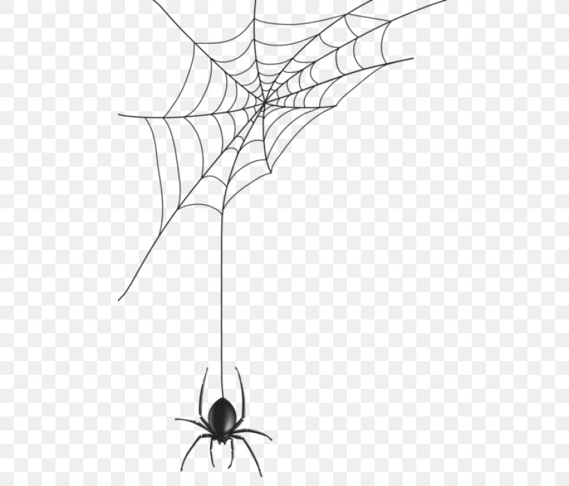 Spider Web Clip Art Image, PNG, 480x700px, Spider, Blackandwhite, Drawing, Insect, Invertebrate Download Free