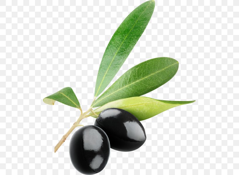 Kalamata Olive Stock Photography Clip Art, PNG, 524x600px, Kalamata Olive, Food, Fruit, Olive, Olive Branch Download Free