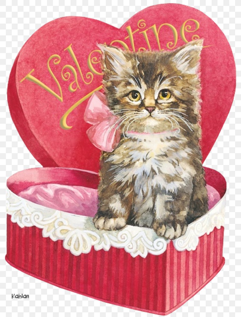 Kitten Cat Whiskers Valentine's Day, PNG, 800x1076px, Kitten, Black Cat, Carnivoran, Cat, Cat Like Mammal Download Free