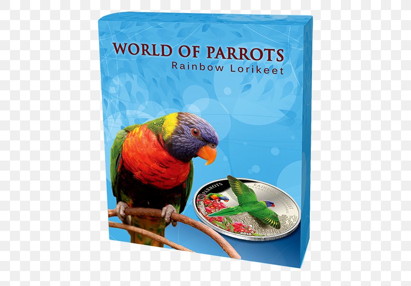 Parrot Macaw Loriini Bird Rainbow Lorikeet, PNG, 570x570px, Parrot, Advertising, Banknote, Beak, Bird Download Free