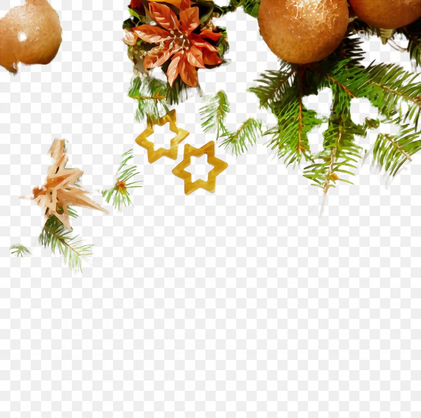 Christmas Decoration, PNG, 2008x1992px, Watercolor, Branch, Christmas Decoration, Conifer, Fir Download Free