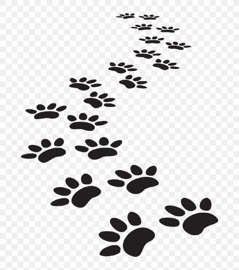 Dog Cat Paw Printing Clip Art, PNG, 1148x1300px, Dog, Animal, Animal Track, Black And White, Branch Download Free