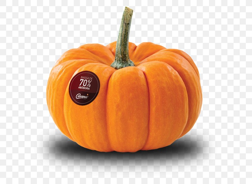 Big Pumpkin Pumpkin Pie Jack-o'-lantern Stock Photography, PNG, 611x600px, Big Pumpkin, Calabaza, Cucumber Gourd And Melon Family, Cucurbita, Cucurbita Maxima Download Free