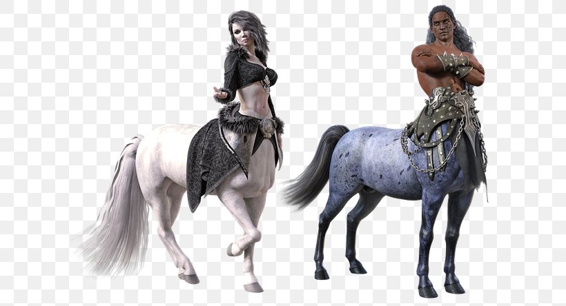 Centaur Horse Chiron Hybrid Beasts In Folklore, PNG, 640x444px, Centaur, Astrology, Bridle, Centaurus, Chiron Download Free