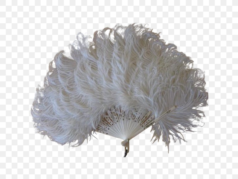 Feather Common Ostrich Dress Clip Art, PNG, 616x616px, Feather, Animal, Antique, Celluloid, Clothing Accessories Download Free