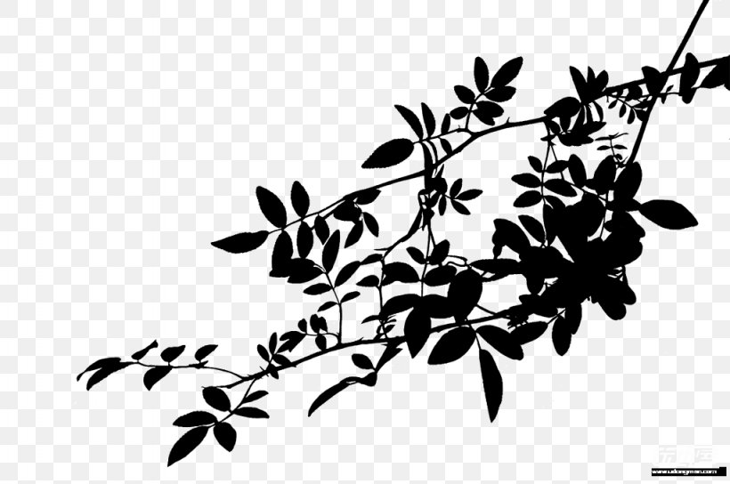 Plants Trivia Image Black And White Silhouette Chinese Language, PNG, 1024x680px, Plants Trivia, Black And White, Branch, Chinese Language, Flora Download Free