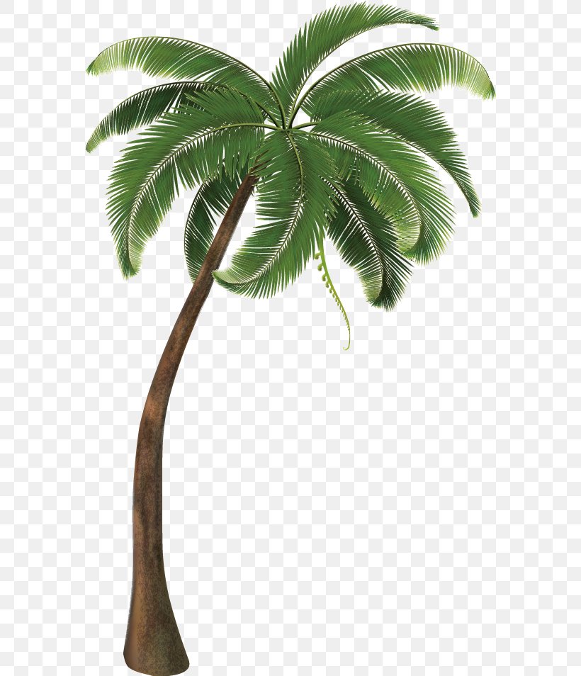 Travel Pack Vacation Icon, PNG, 580x954px, Coconut, Arecaceae, Arecales, Borassus Flabellifer, Date Palm Download Free