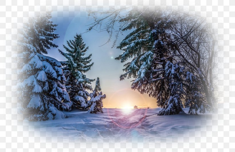 Desktop Wallpaper Winter Nature Story Snow Wallpaper, PNG, 800x533px, 8k Resolution, Winter, Christmas Tree, Cloud, Conifer Download Free