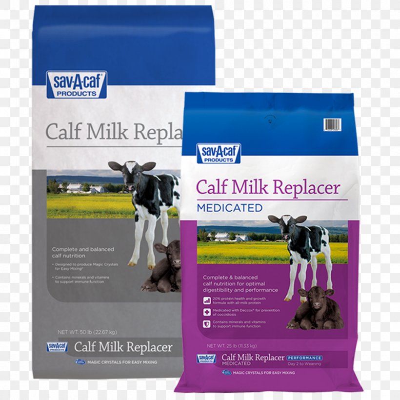 Milk Calf Plastic Brand Product, PNG, 1000x1000px, Milk, Brand, Calf, Plastic, Pound Download Free