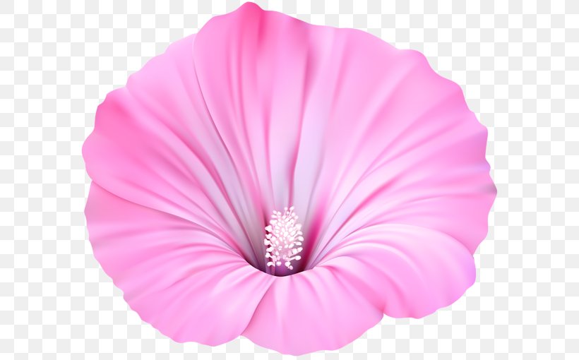 Pink Flowers Violet Purple Clip Art, PNG, 600x510px, Flower, Blue, Blume, Flowering Plant, Herbaceous Plant Download Free